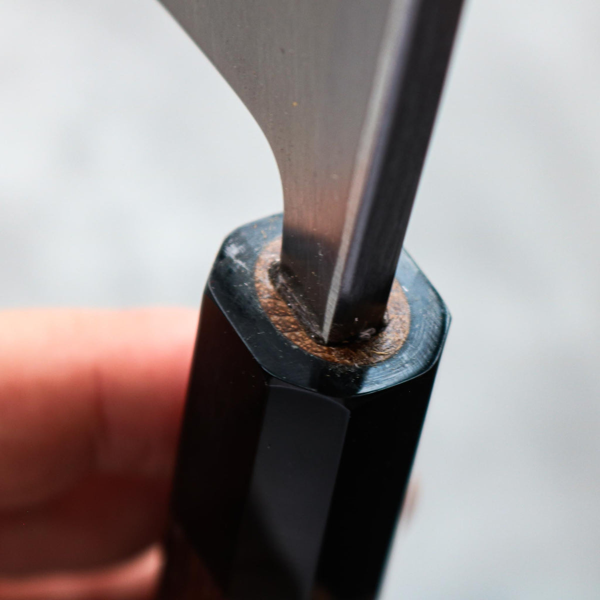 Hatsukokoro Shirasagi Migaki Deba 165 mm
