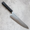 Hatsukokoro Hikari SLD Gyuto 210 mm